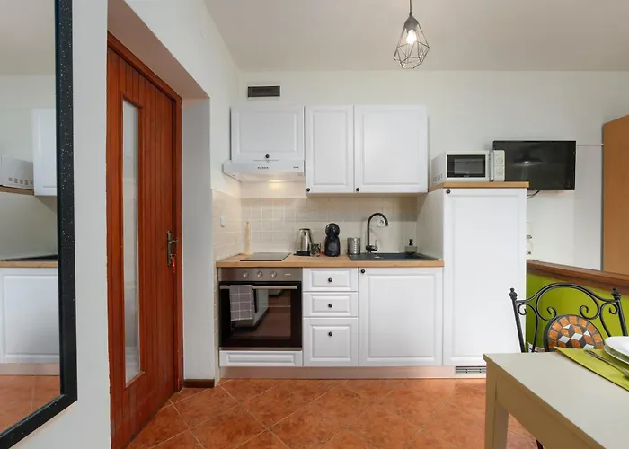 Studio Apartment